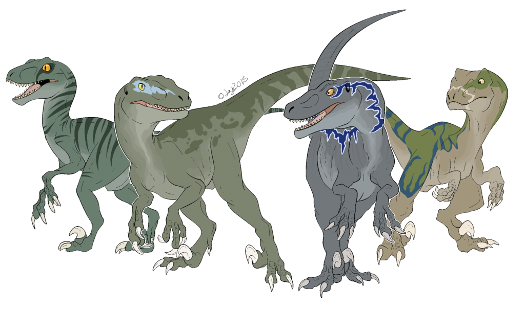 Velociraptor Dinosaur Park Drawing Jurassic Download HD PNG PNG Image