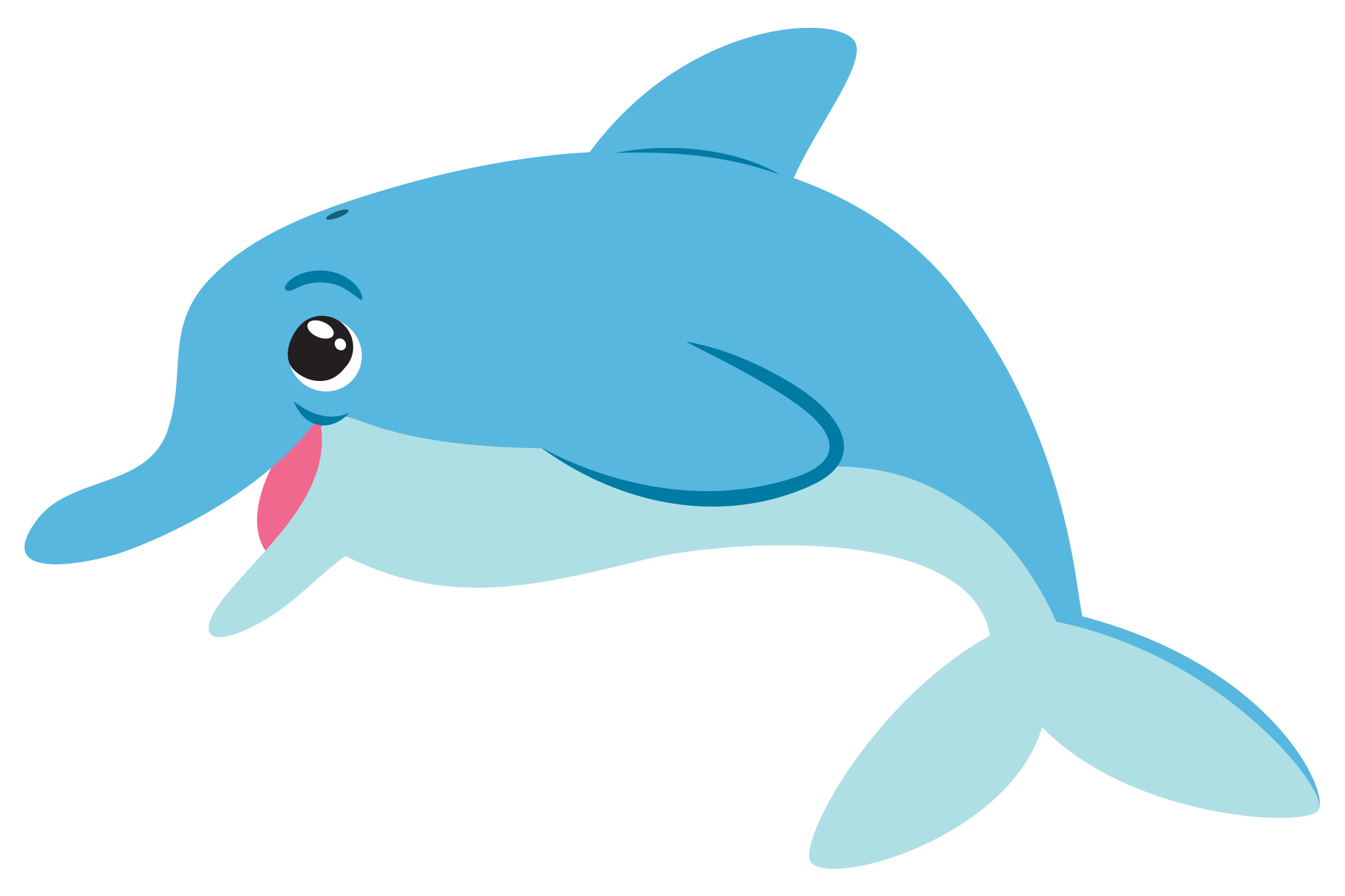 Dolphin Picture PNG Image