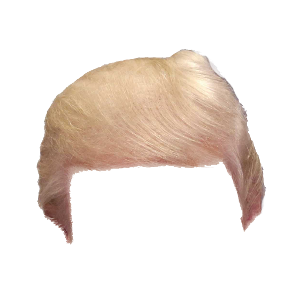 Wig Again Great Snout Make Hair America PNG Image