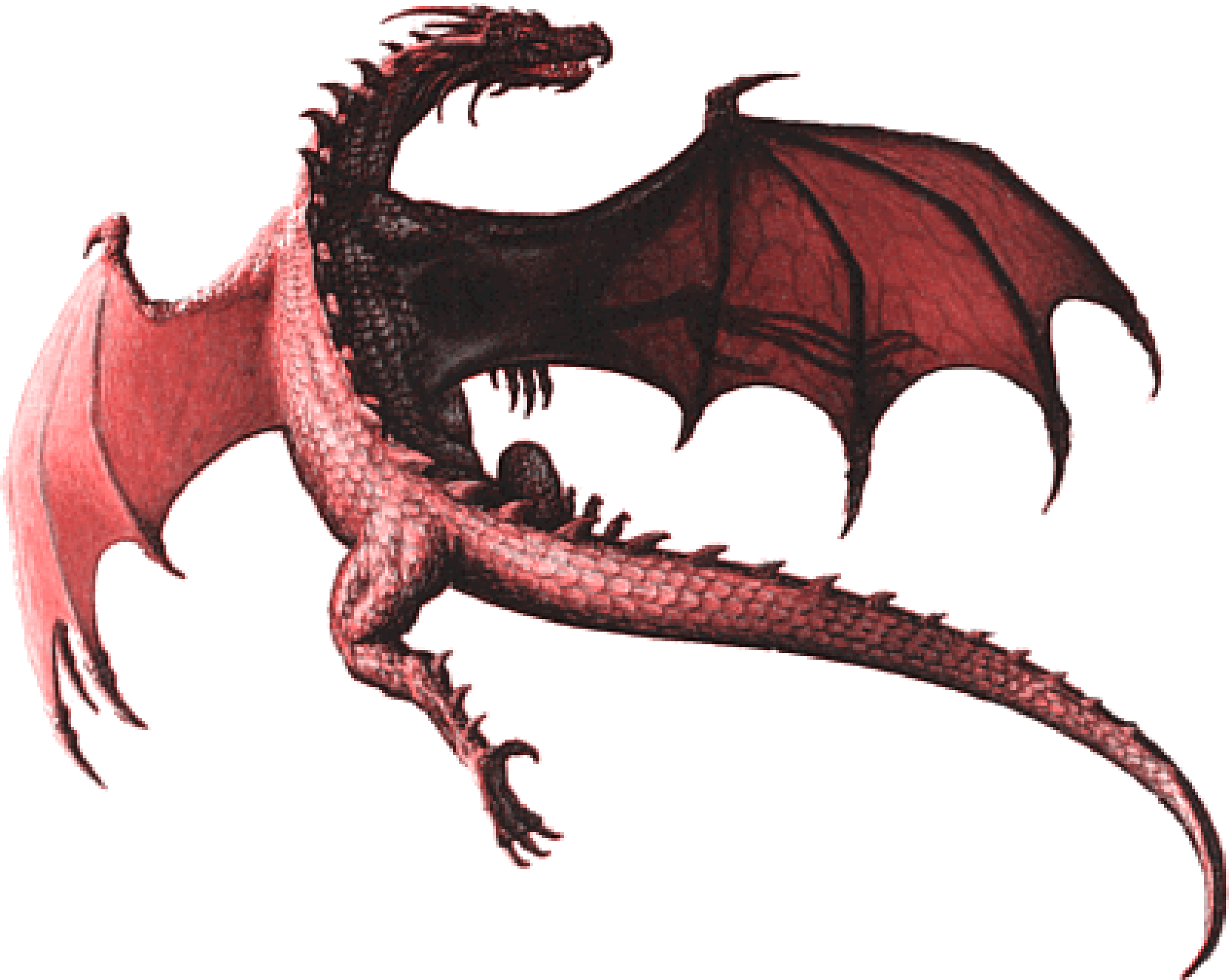 Realistic Dragon Transparent Background PNG Image