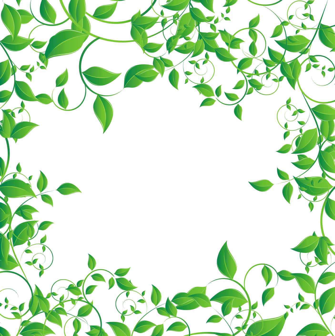 Tea Leaves Vector Green Photos PNG Image