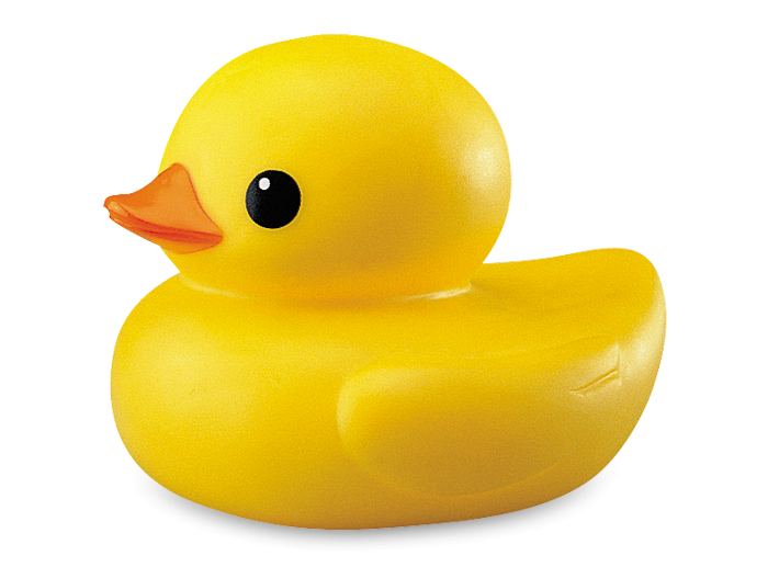 Duck Transparent PNG Image