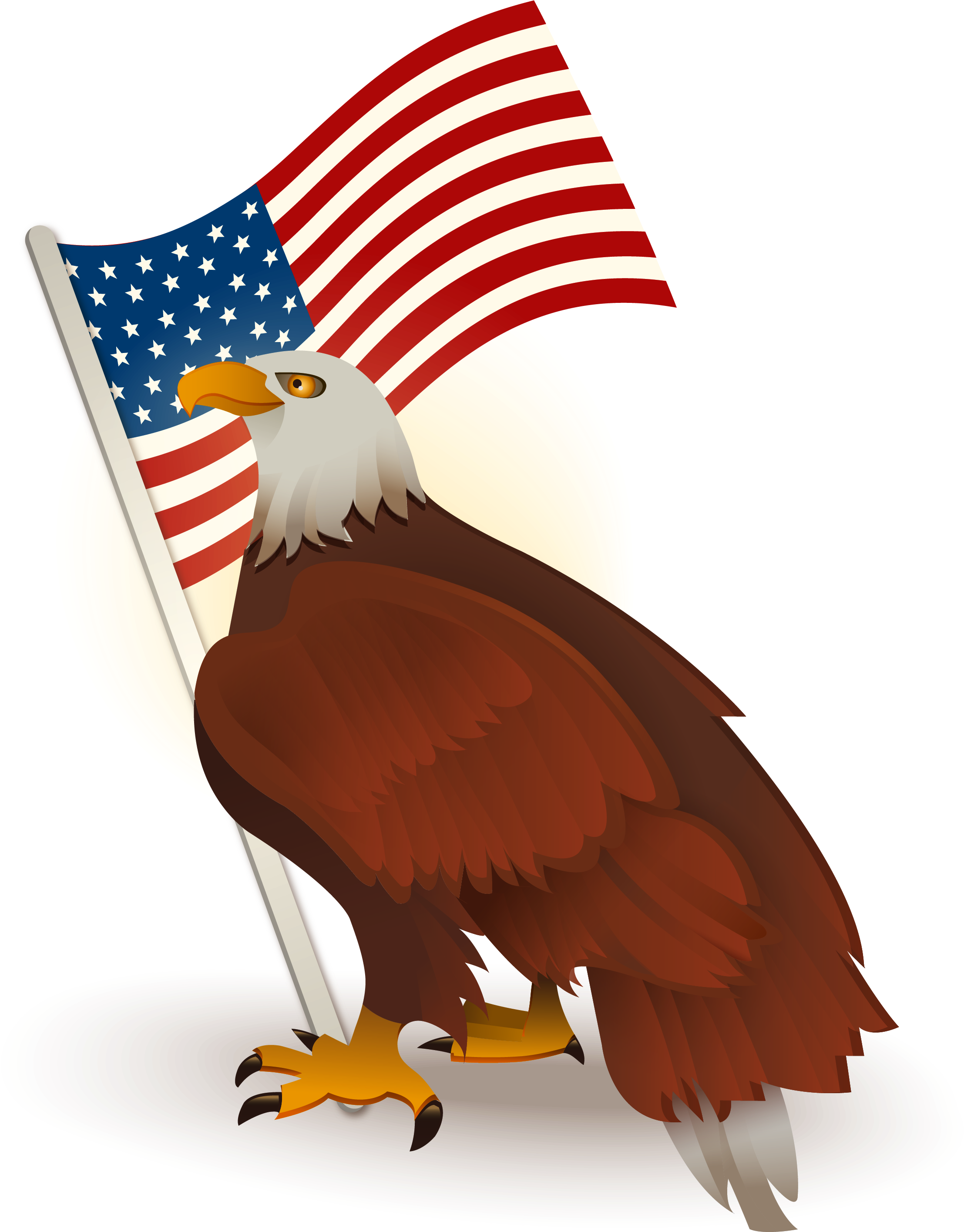 Eagle American Photos Free Transparent Image HD PNG Image
