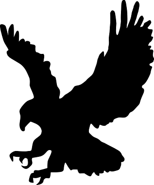 Eagle Black Siluet Png Image Download PNG Image