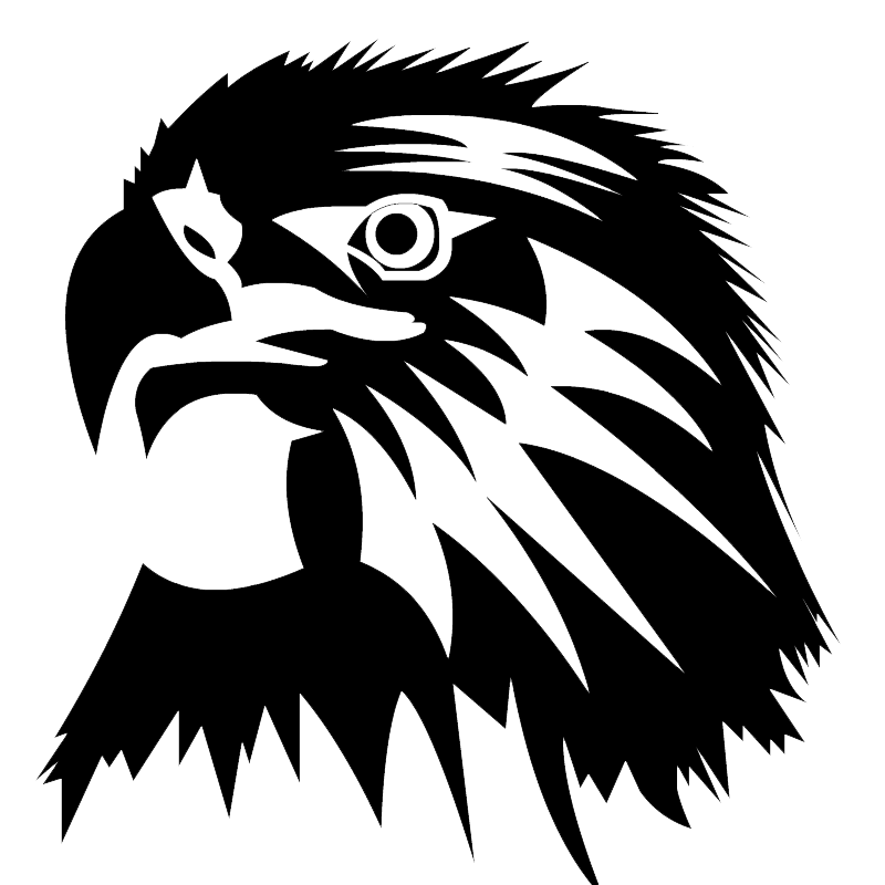 Eagle Head Image PNG Image