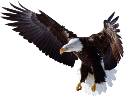 Download Free Flying Eagle Clipart ICON favicon | FreePNGImg