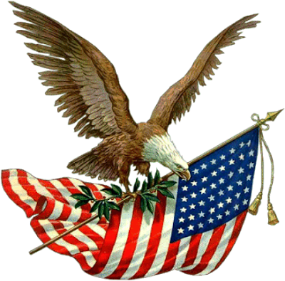 Eagle Memorial Parade Day Holiday Bird PNG Image