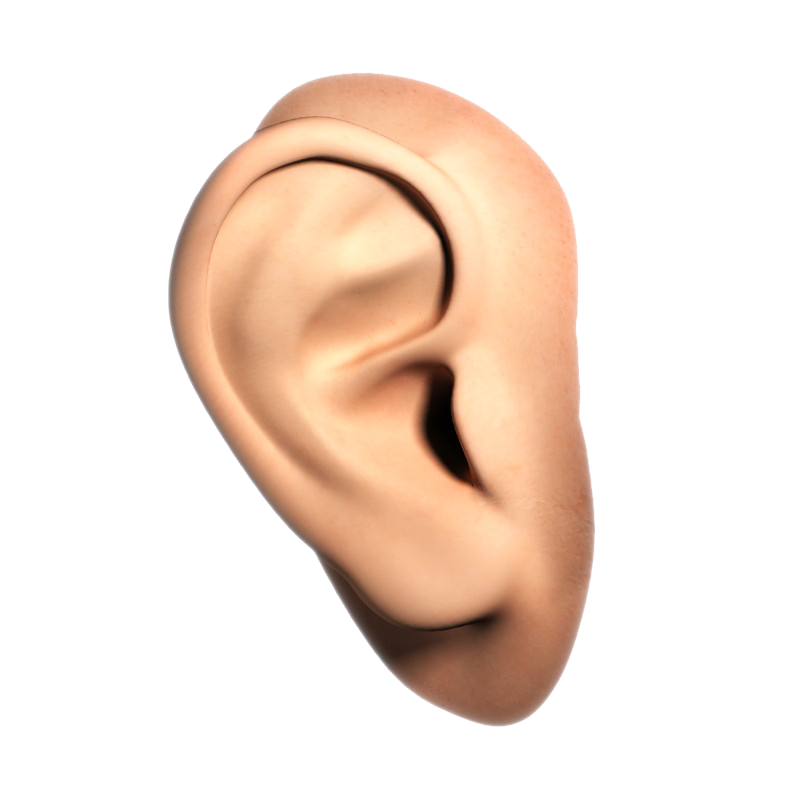 Human Ear File PNG Image