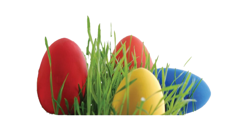 Egg Grass Easter Photos Free HQ Image PNG Image