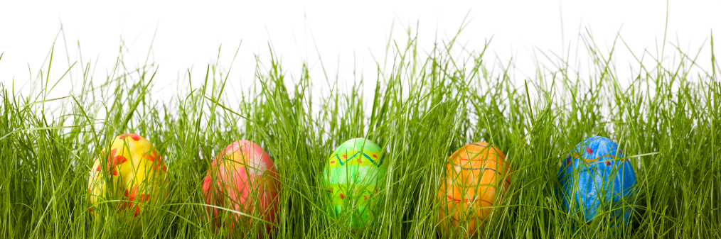 Beautiful Easter Eggs In Grass PNG Image