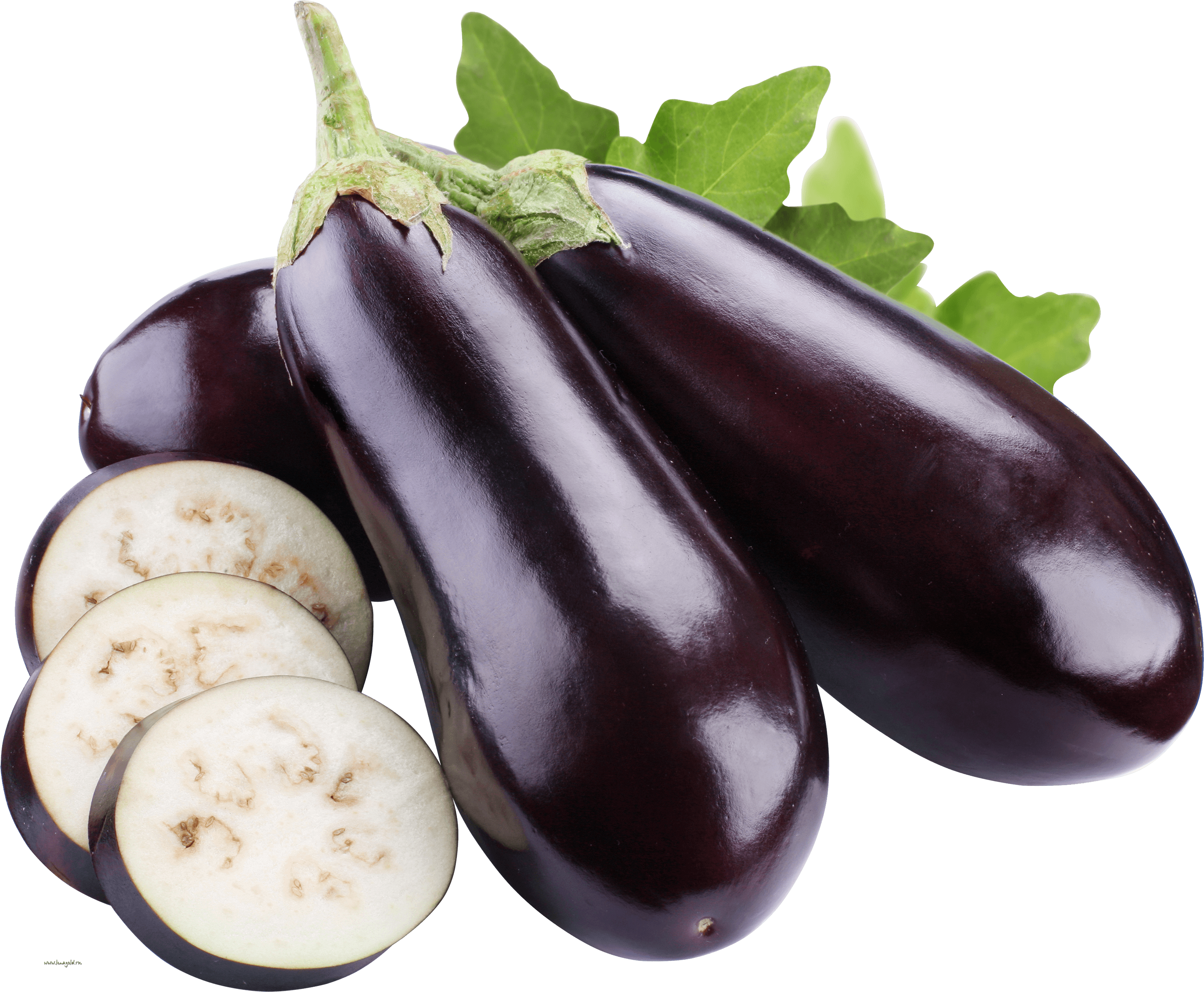 download-eggplant-png-images-download-hq-png-image-freepngimg