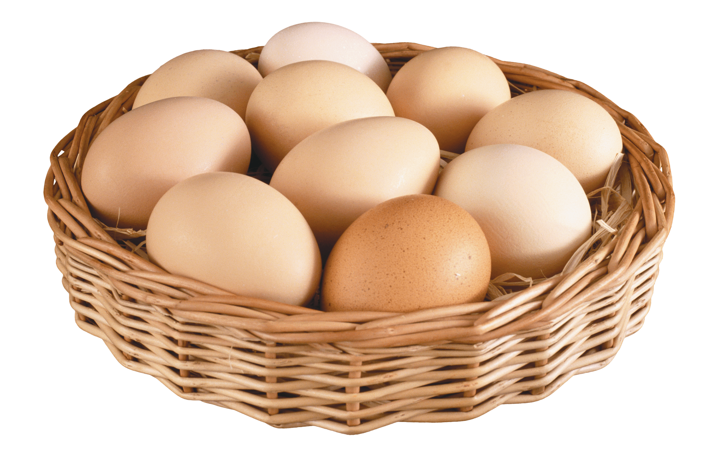 Egg PNG Image