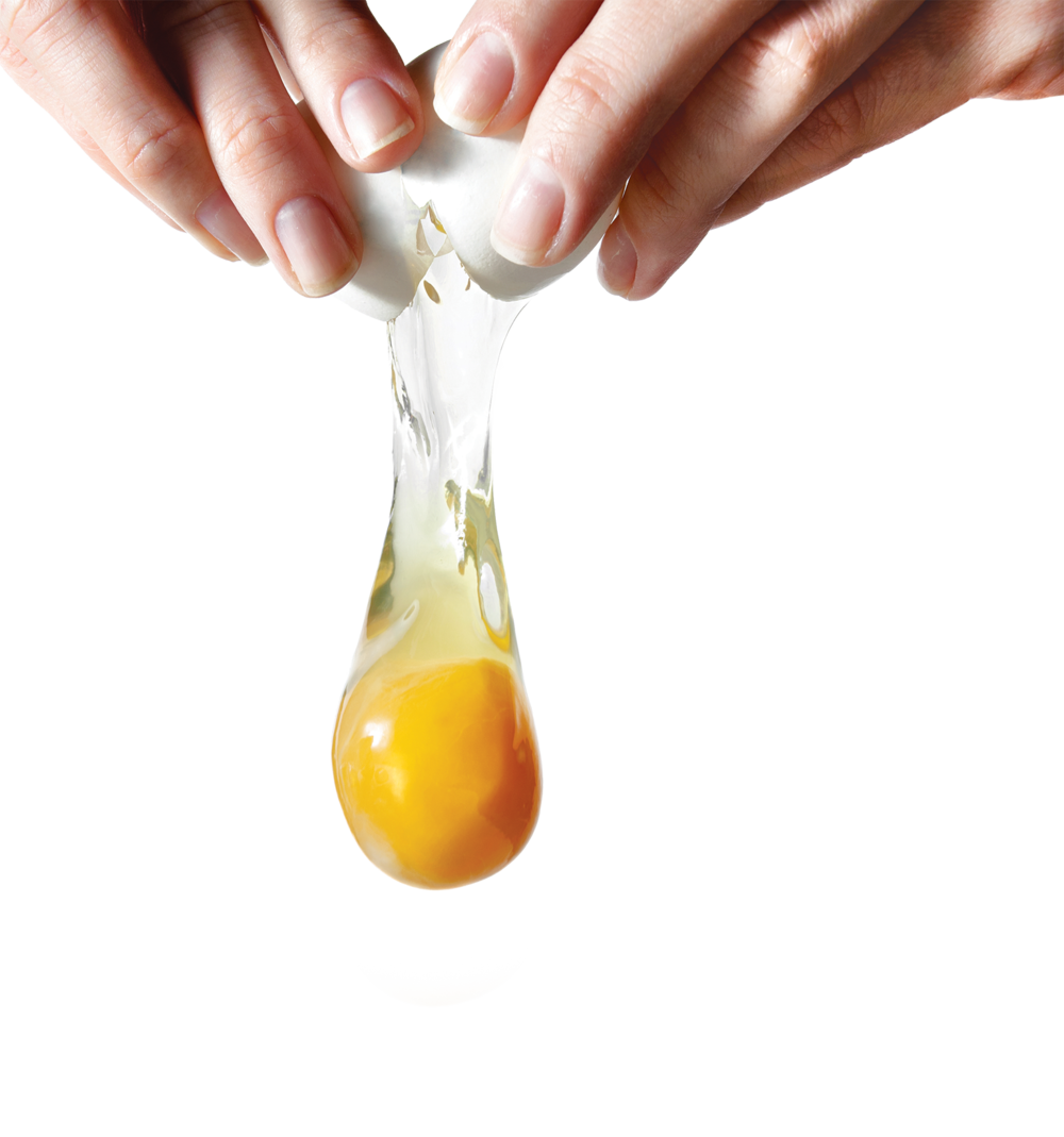 Egg PNG Image