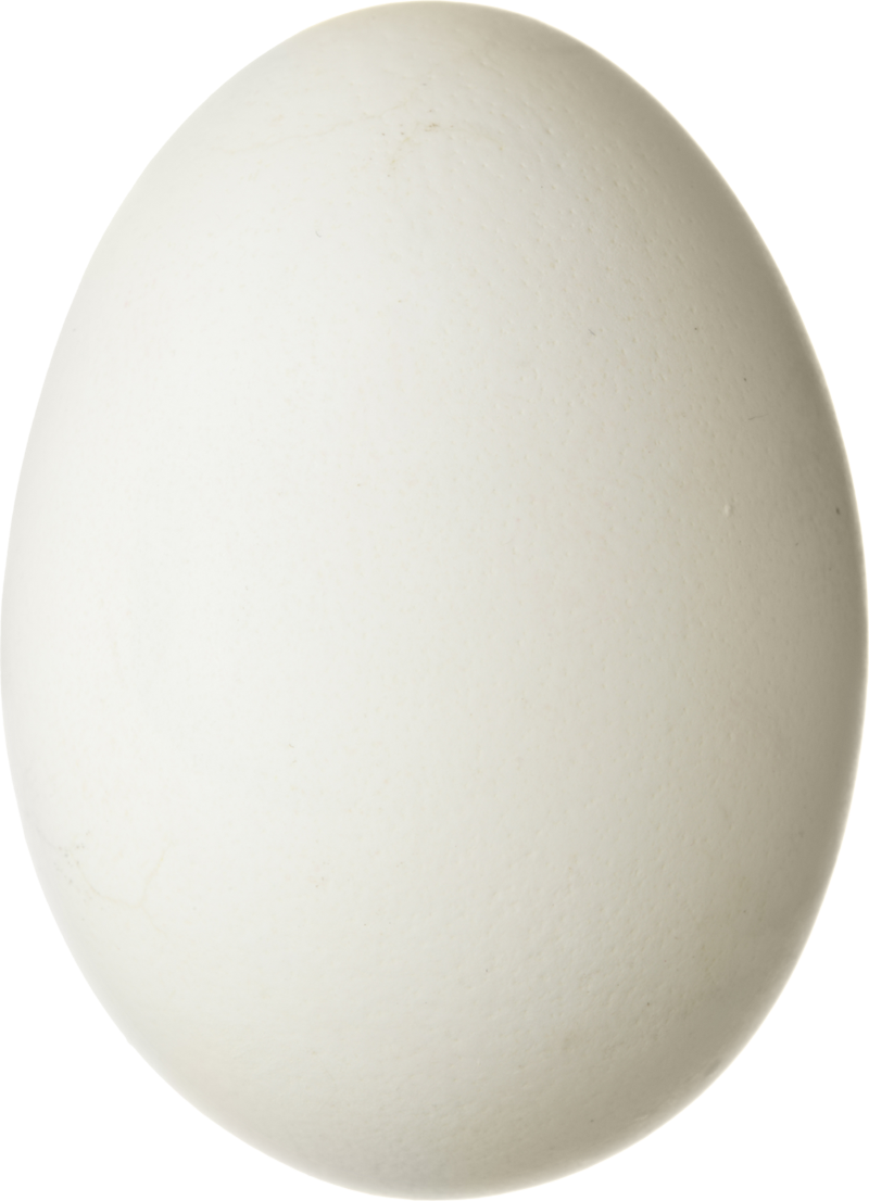 Egg PNG Image