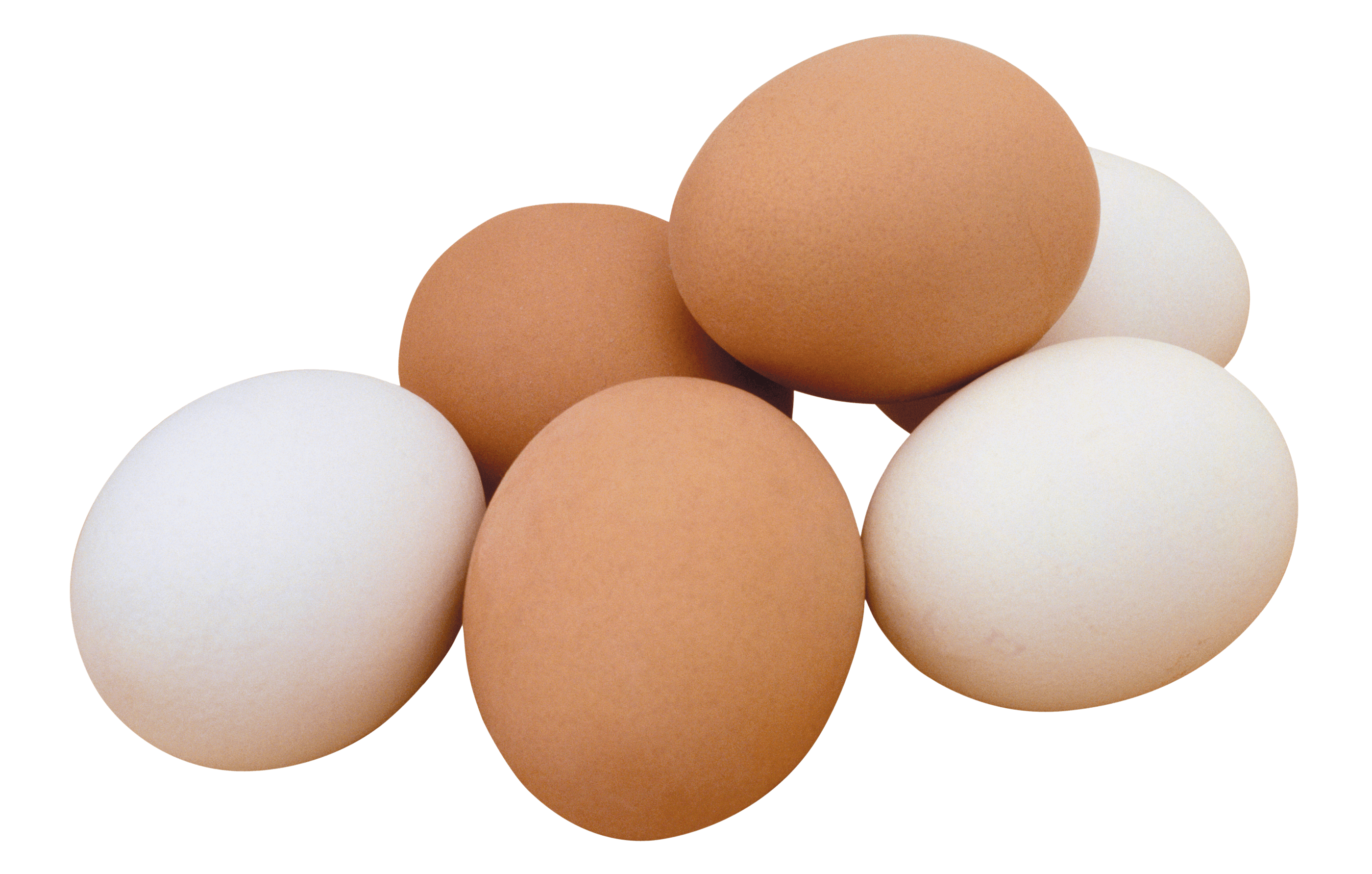 Eggs PNG Image