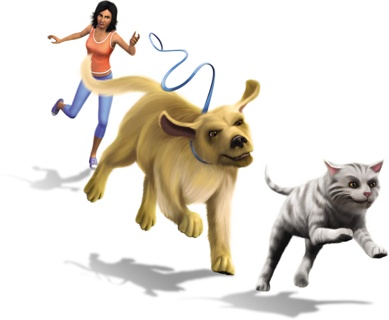 Sims Cat Cats Pets Mammal Dogs PNG Image