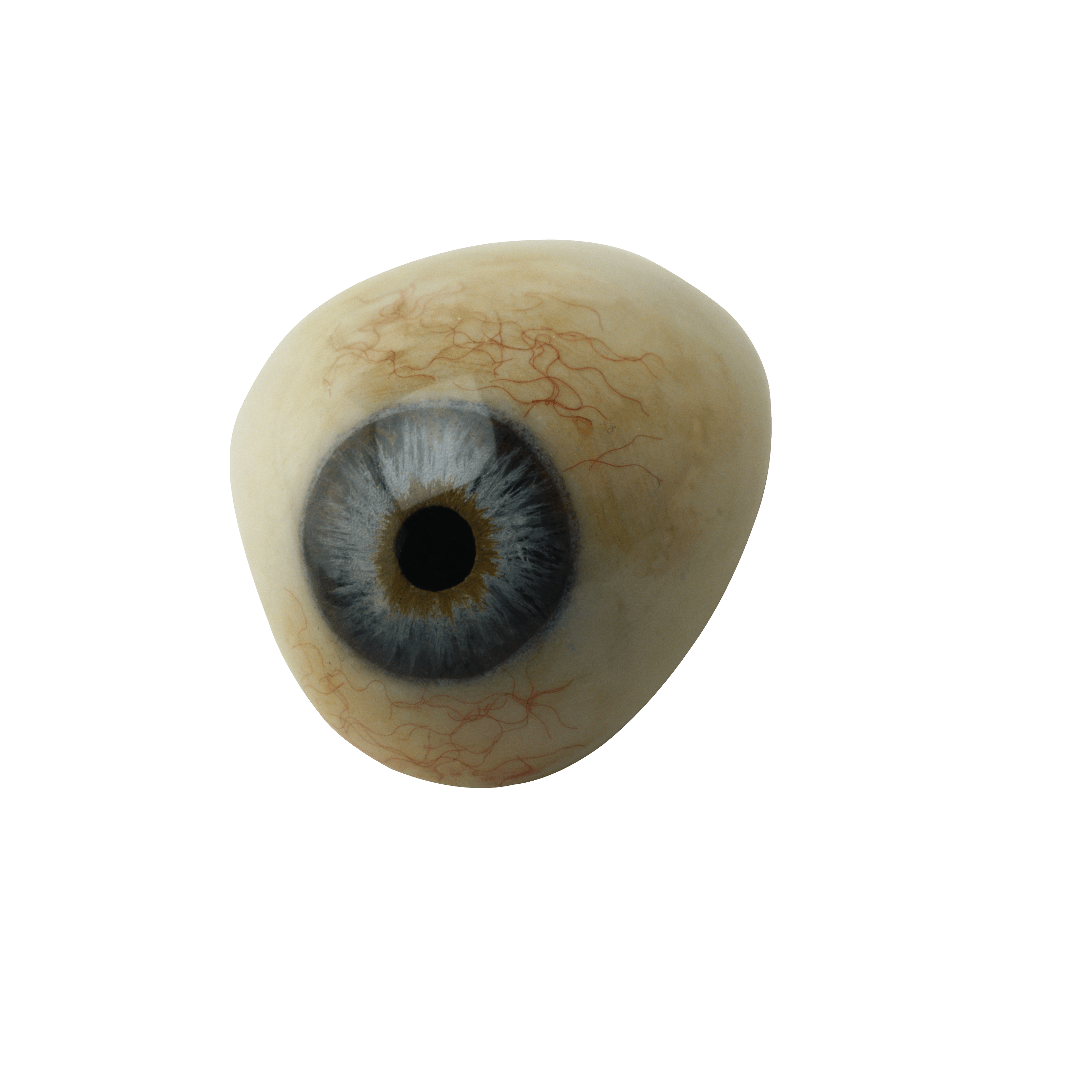 Eye Png Image PNG Image
