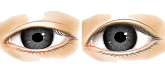 Real Eye Clipart PNG Image