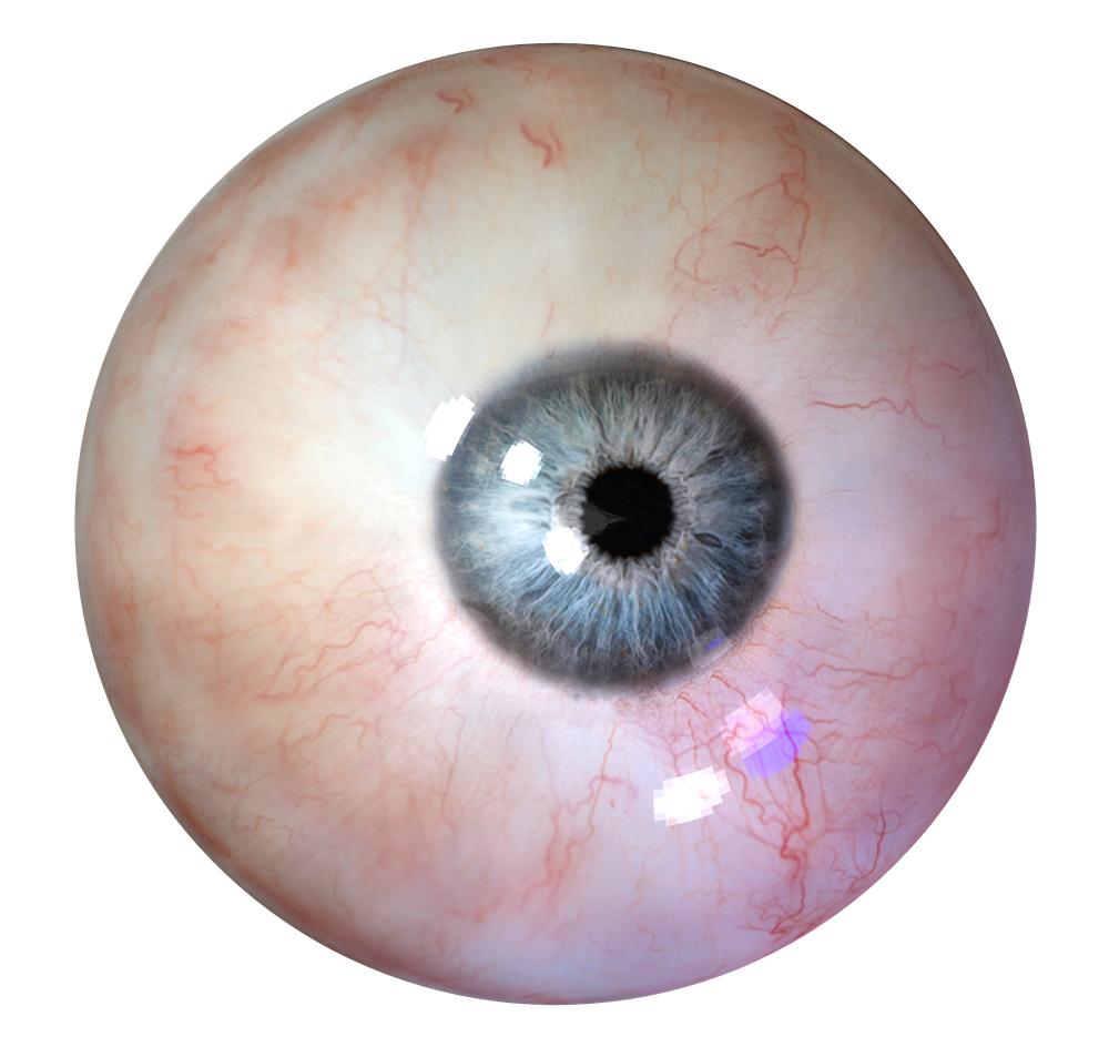 Human Eye Clipart PNG Image