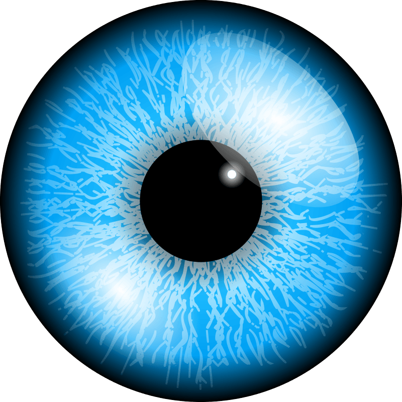 Download Free Eye Png Image ICON favicon | FreePNGImg