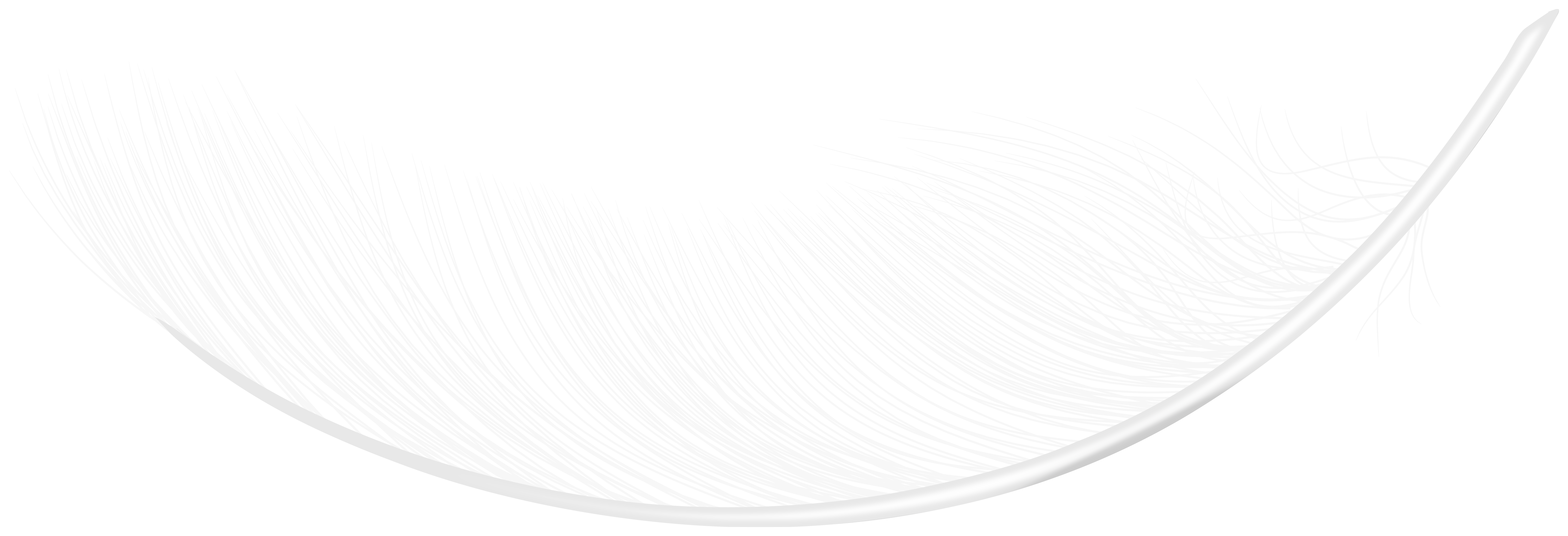 Feather PNG Image