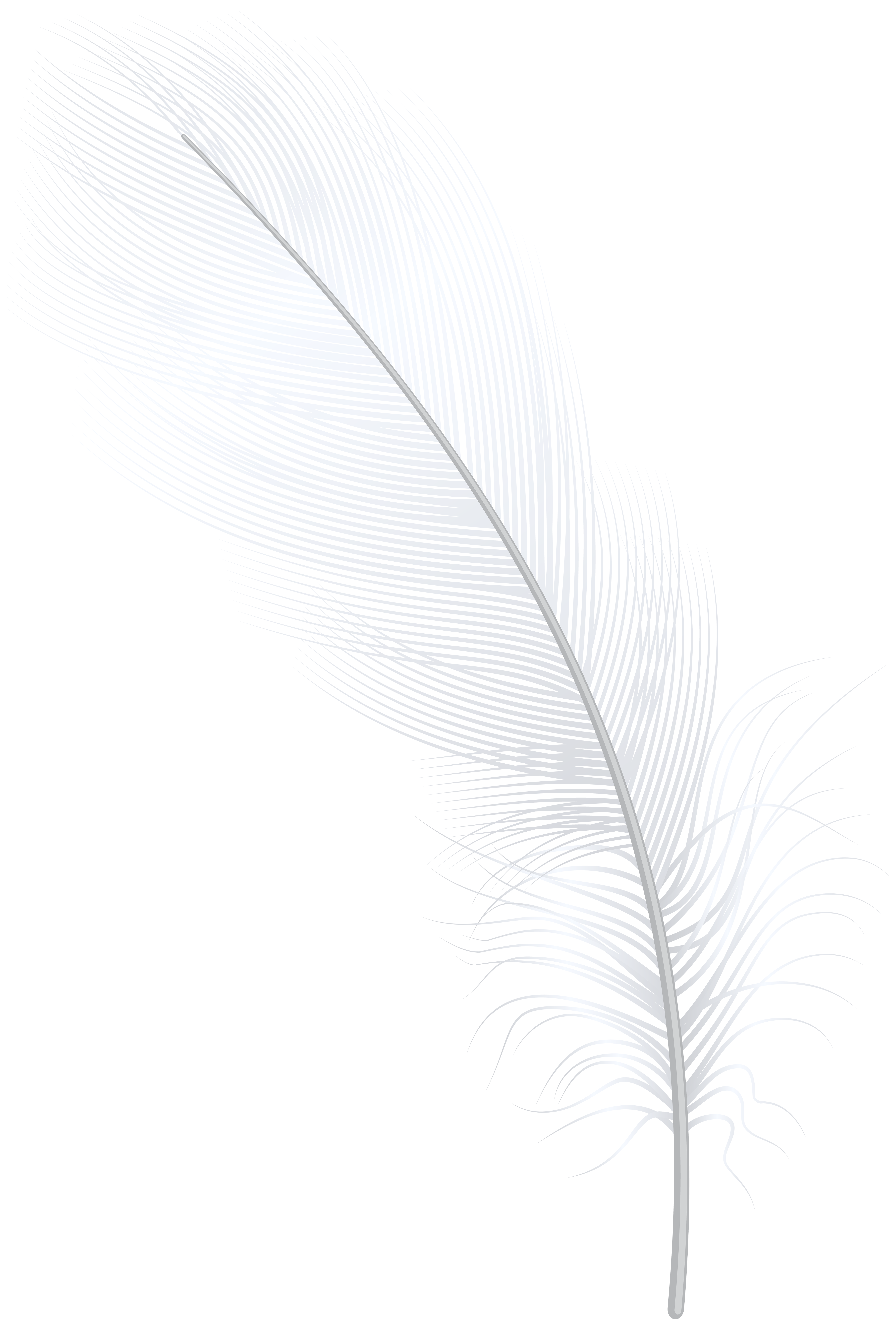 Feather PNG Image