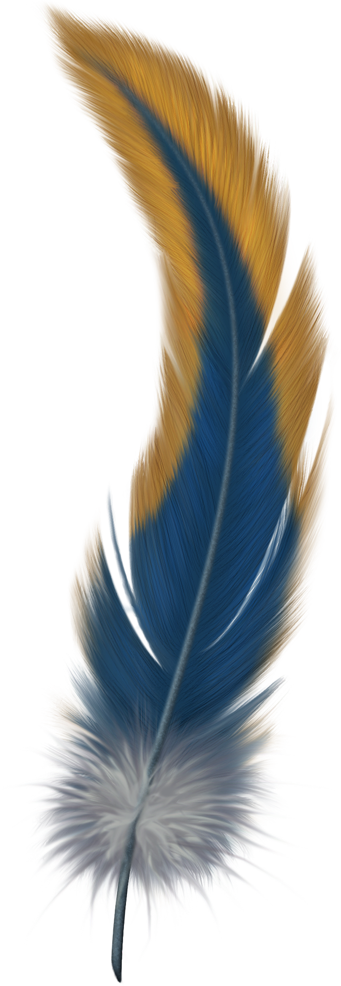 Feather PNG Image