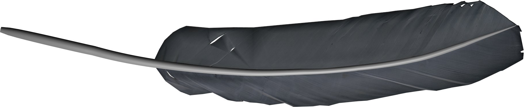 Feather PNG Image