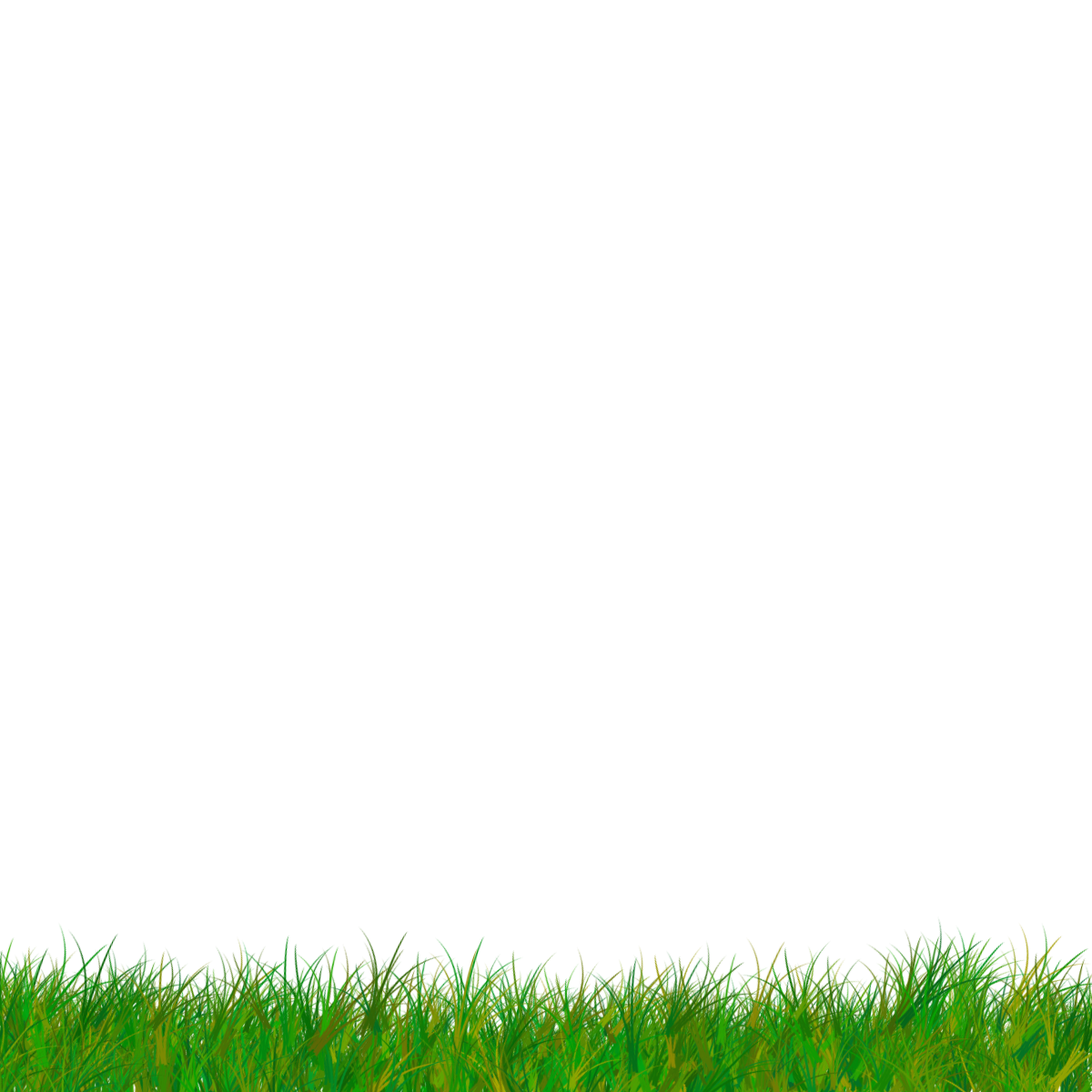 Field Grass Sunny Photos PNG Download Free PNG Image