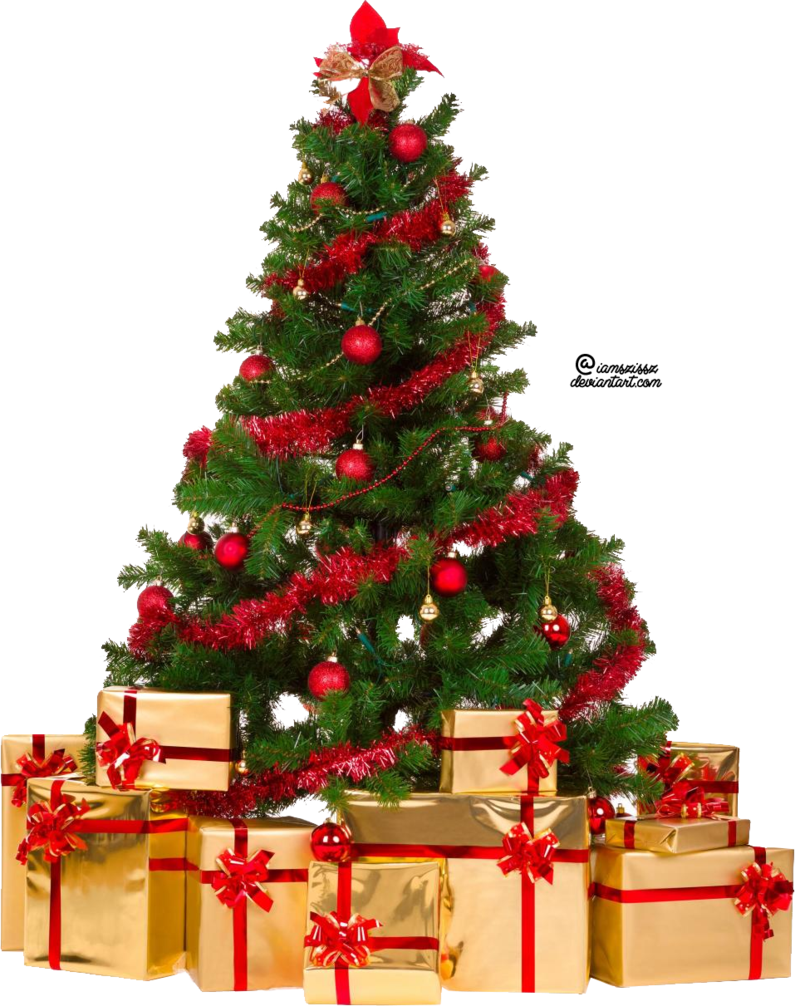 Fir Family Tree Ornament Pine Christmas PNG Image