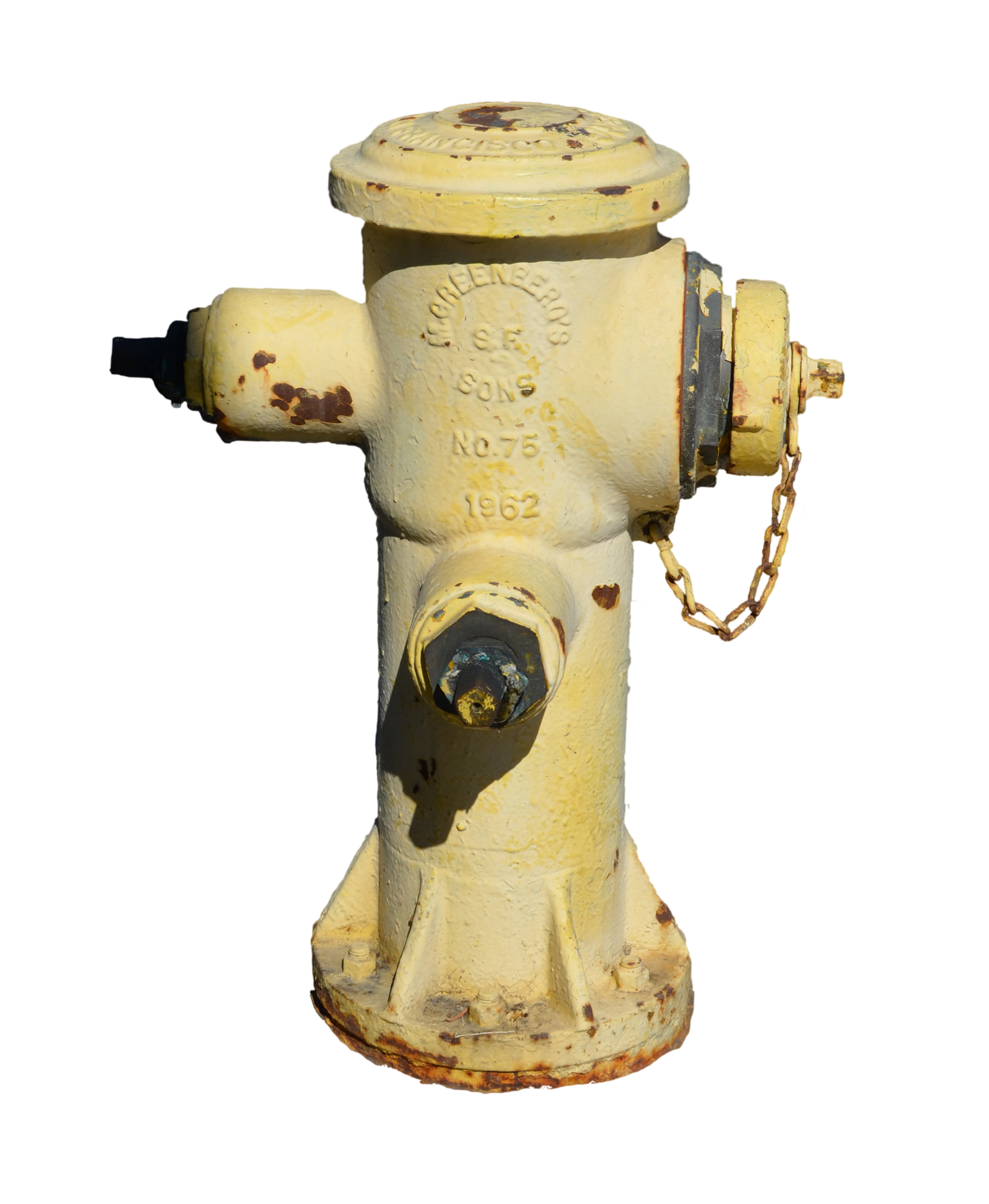 Fire hydrant PNG Image