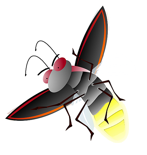 Firefly File PNG Image