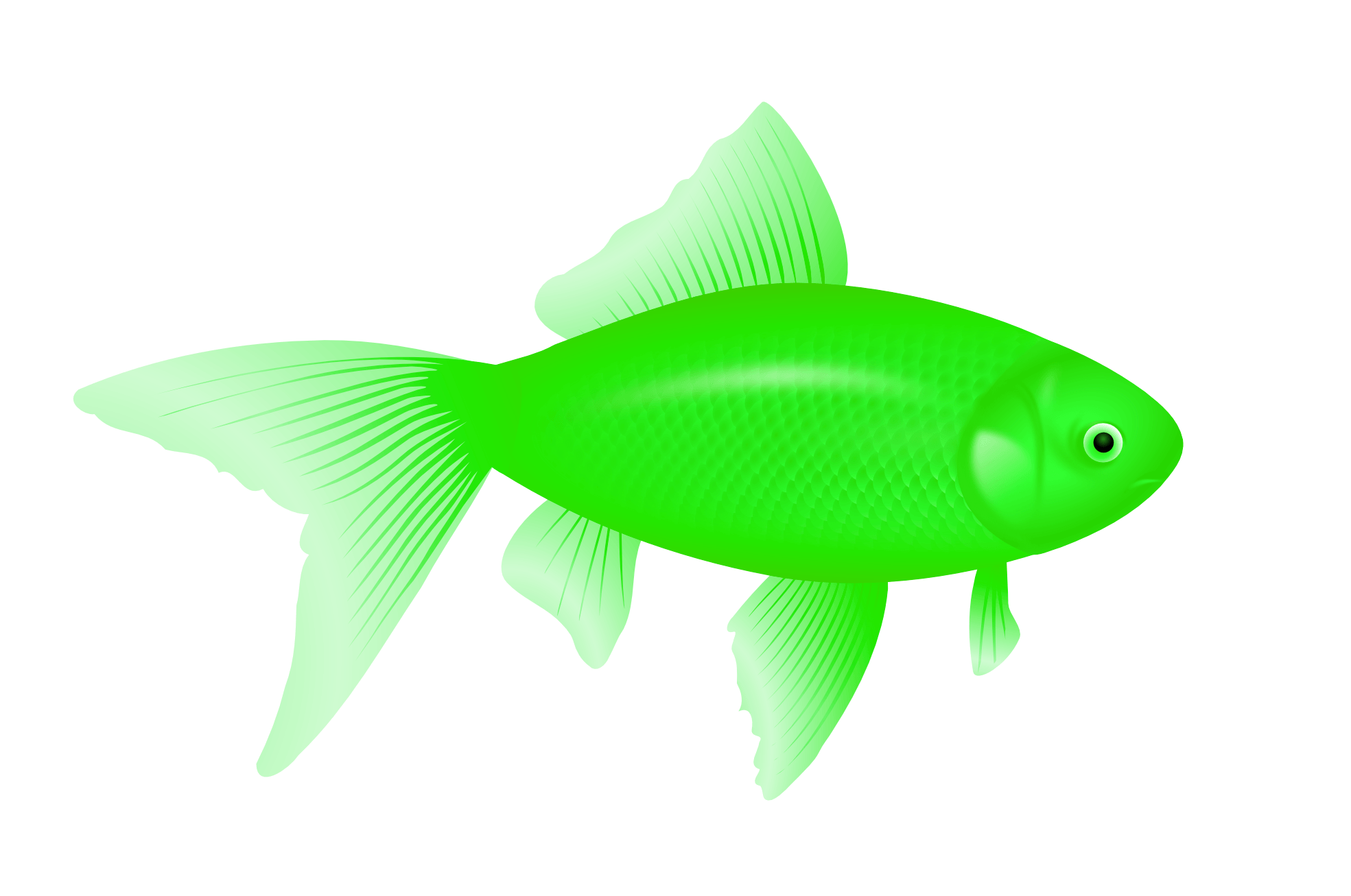 Green Fish Png Image PNG Image