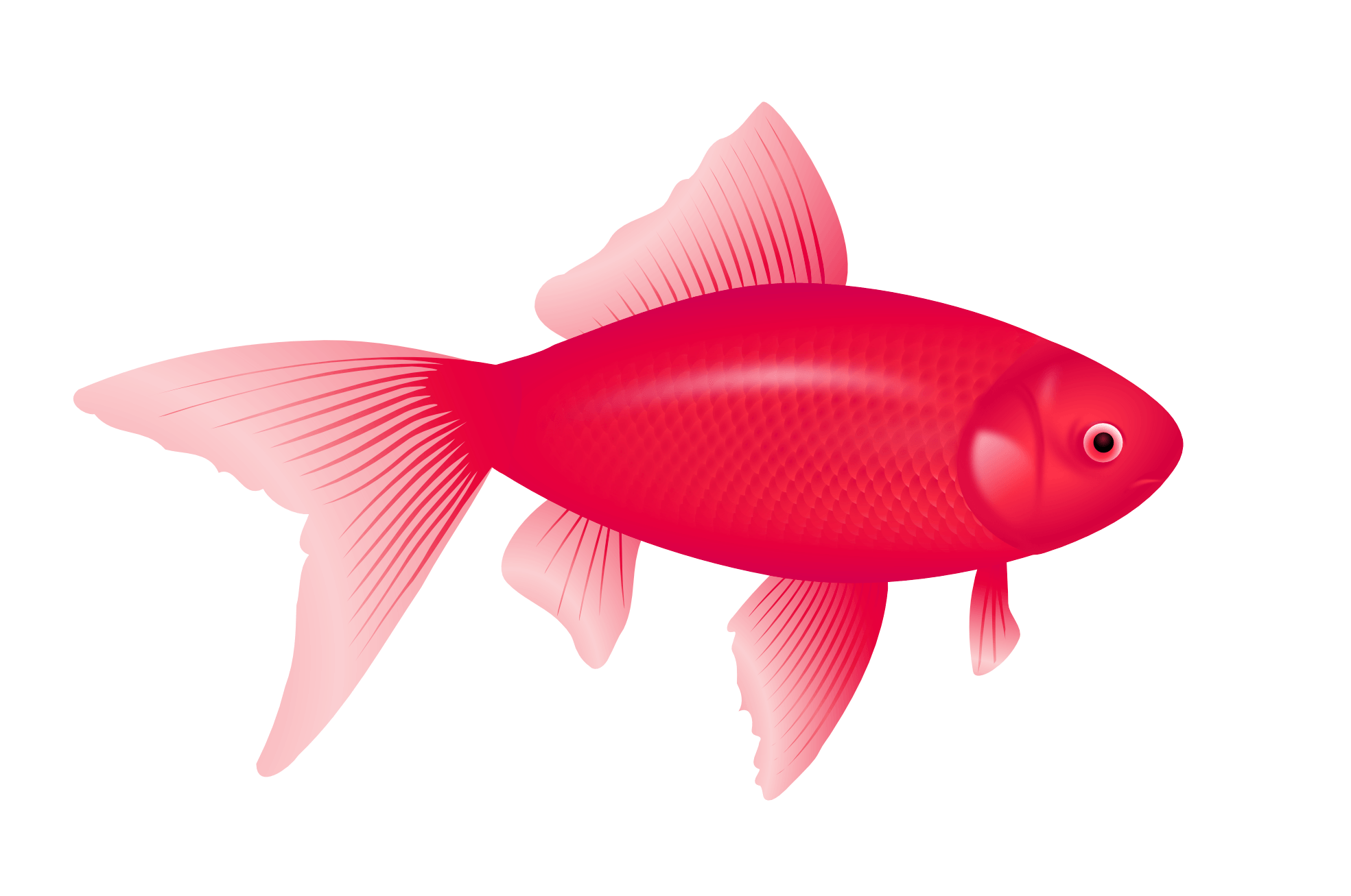Purple Fish Png Image PNG Image