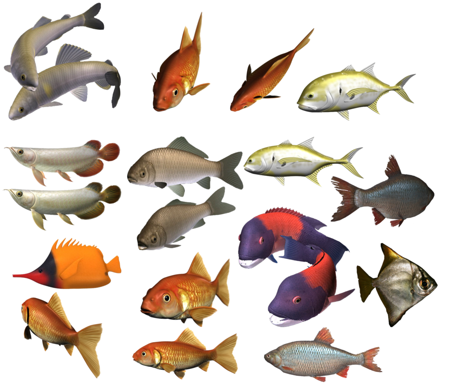 School Of Fish Image PNG Image