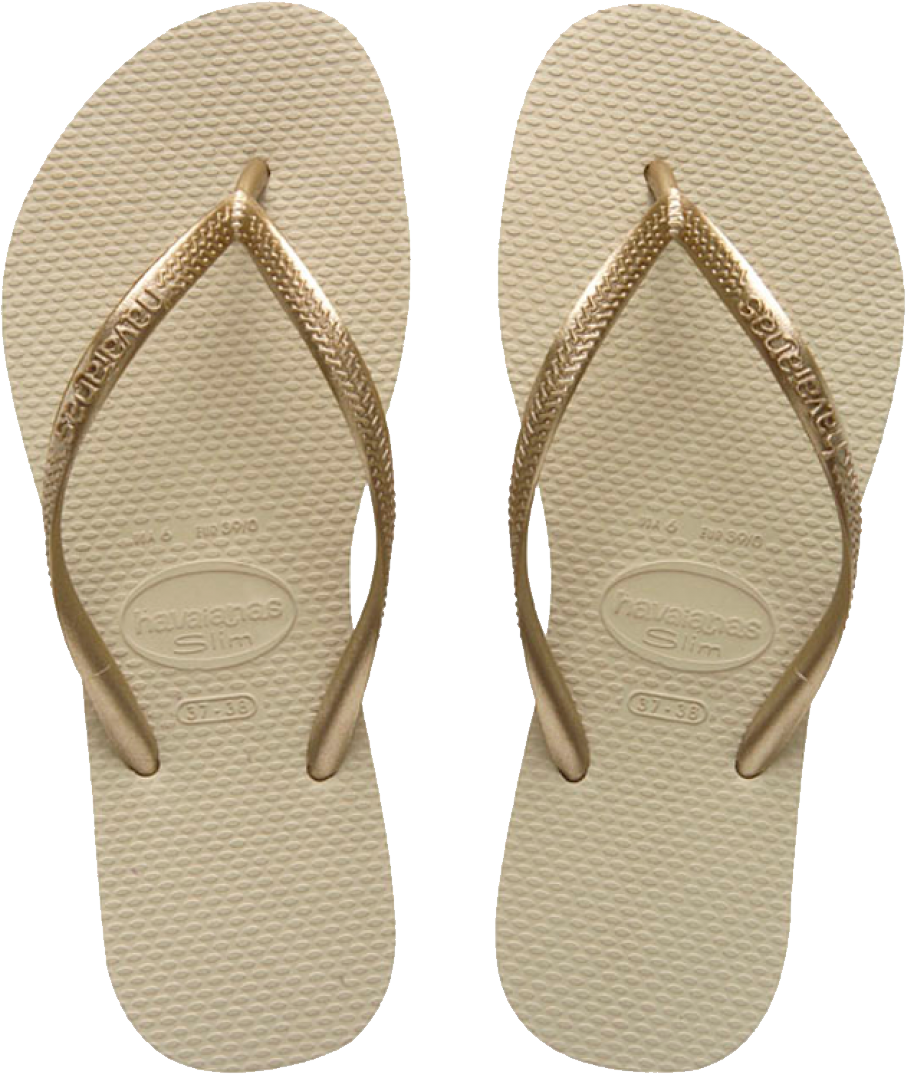 Flip-flops PNG Image