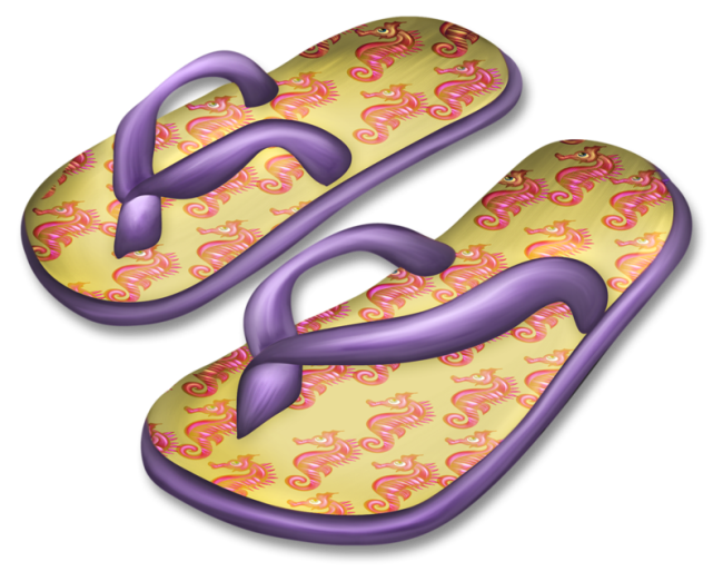 Flip-flops PNG Image