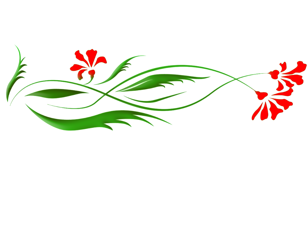 Floral Picture PNG Image