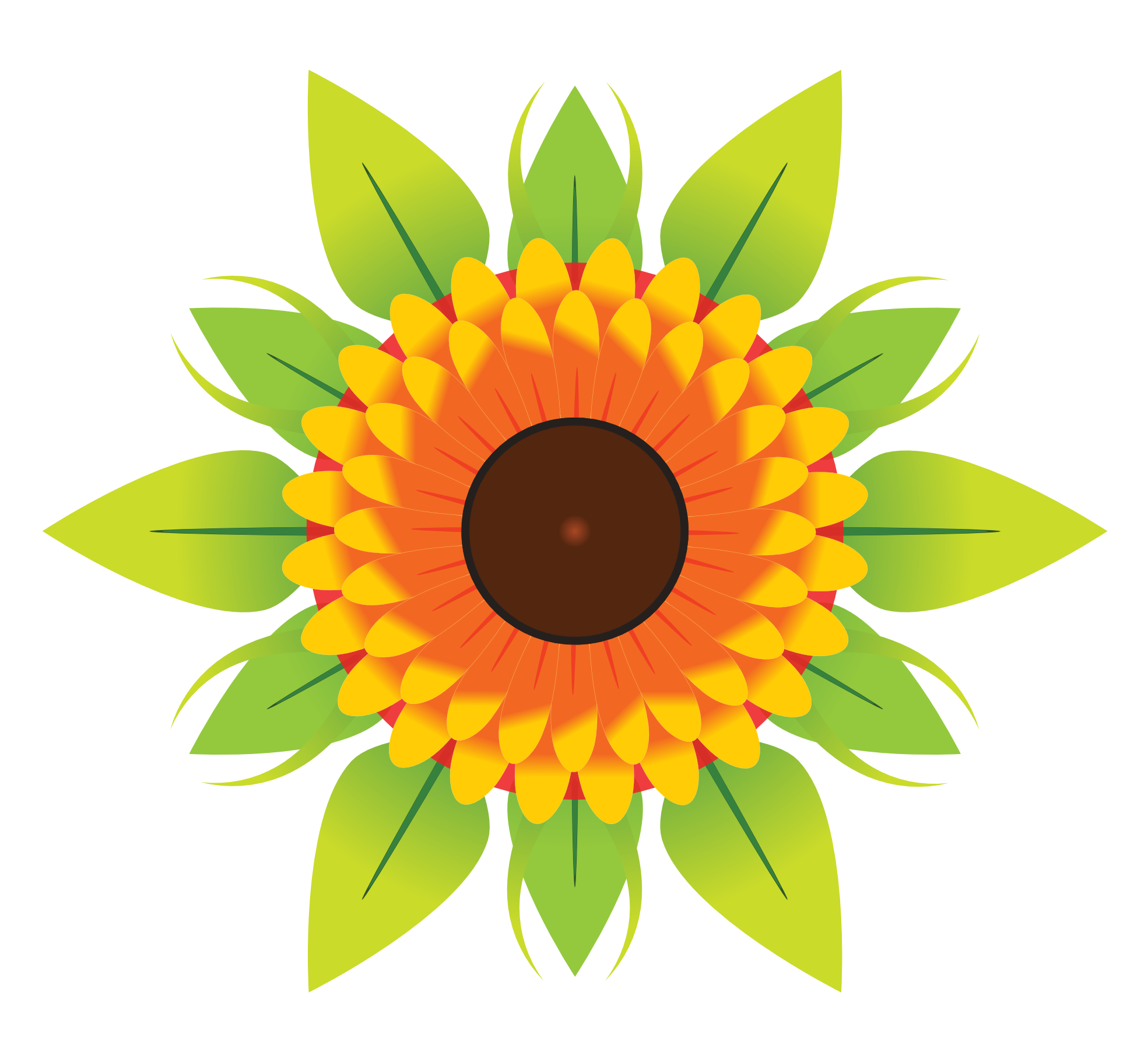 Vector Sun Flower PNG Image High Quality PNG Image