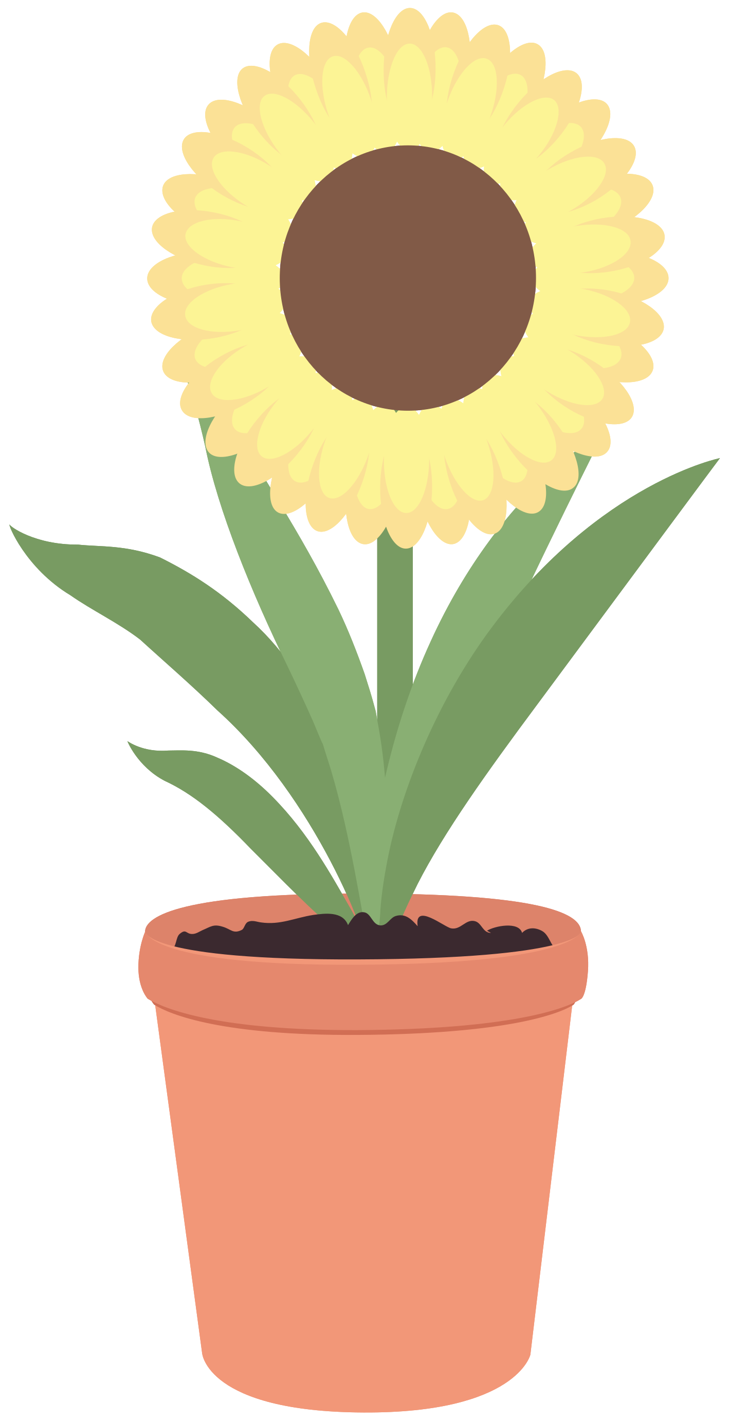 Vector Pot Flower HD Image Free PNG Image