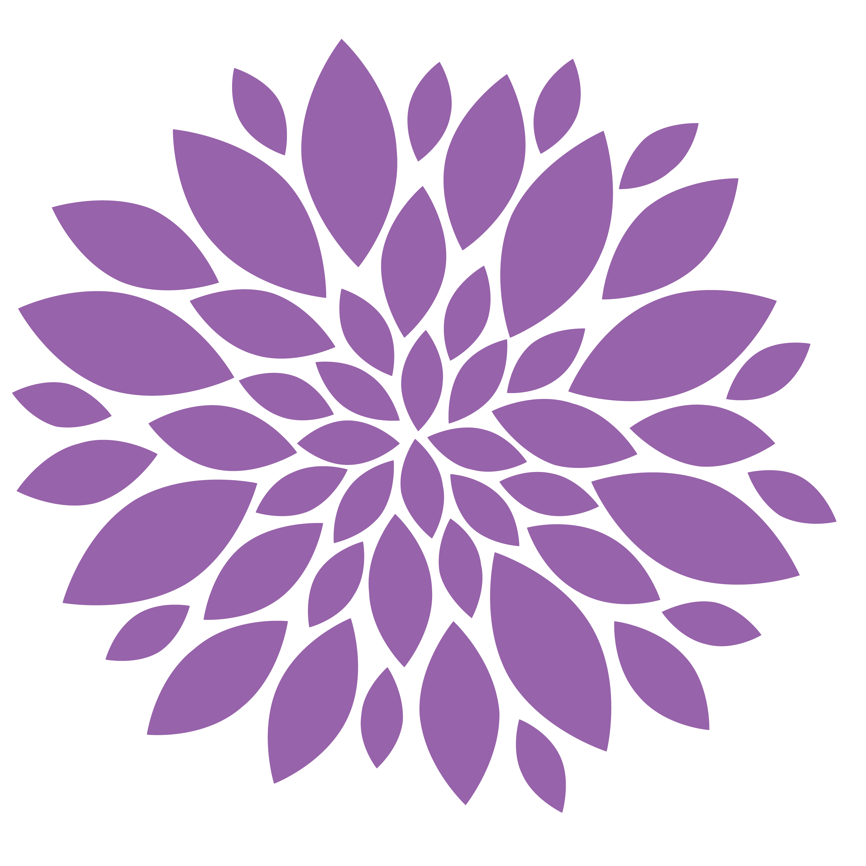 Chrysanthemum Image PNG Image