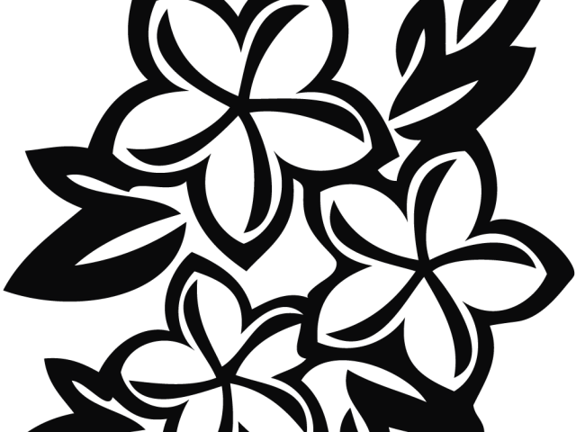 And Flower Floral Design Frames Borders Drawing PNG Image
