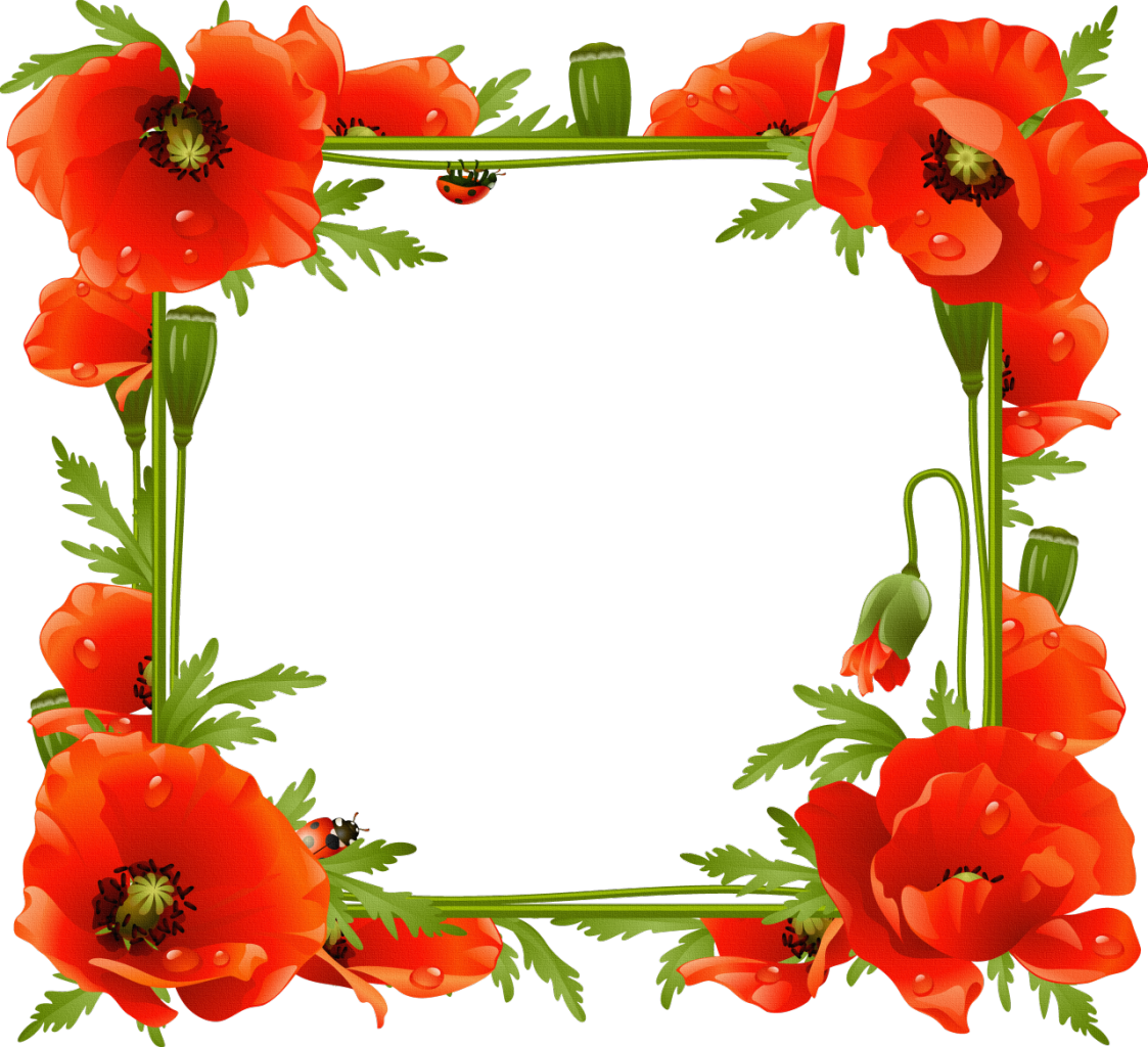 Picture Flower Frame Common Frames Poppy PNG Image