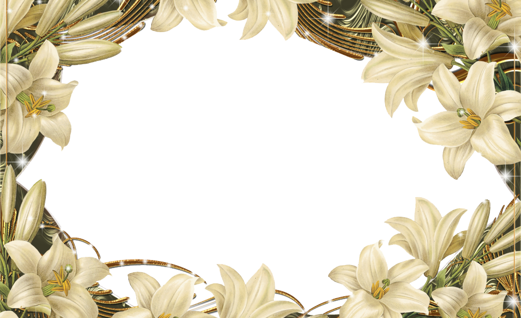 Picture Flower Frame Design Floral Border PNG Image