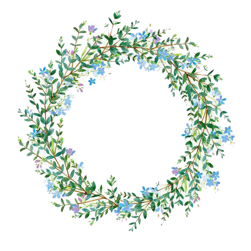 Flower Photography Wreath Illustration Ring Grass Stock PNG Image