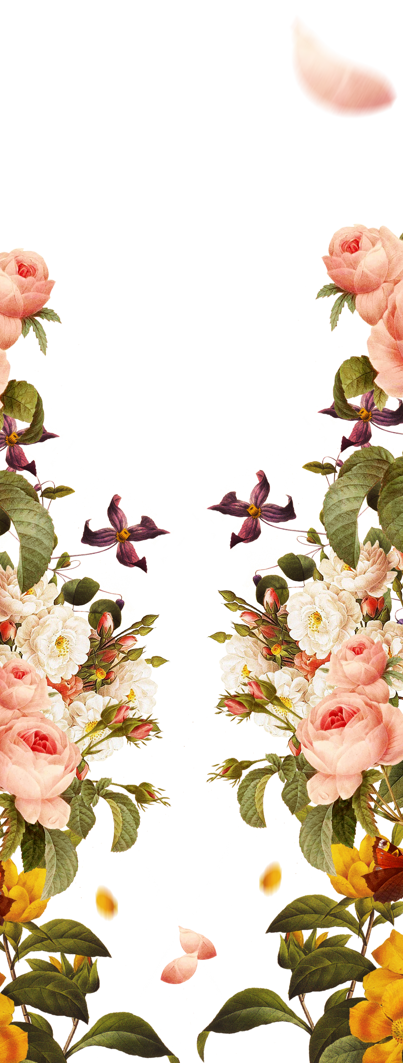 Pink Garden Painted Hand Roses Borders Flowers PNG Image