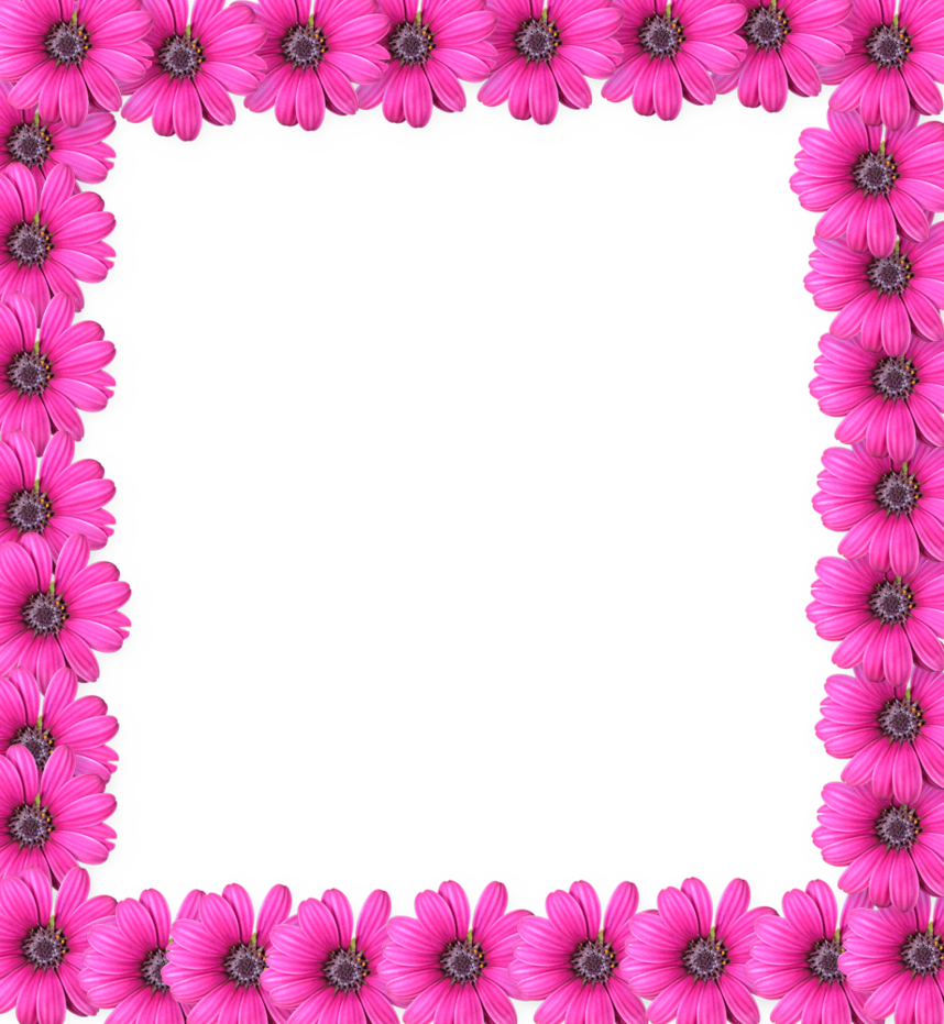 Pink Picture Frame Flower Free HD Image PNG Image