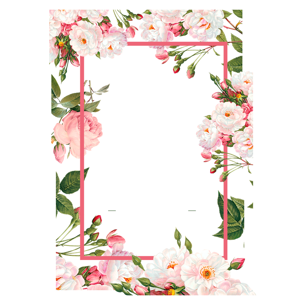 Pink Flower Frame PNG