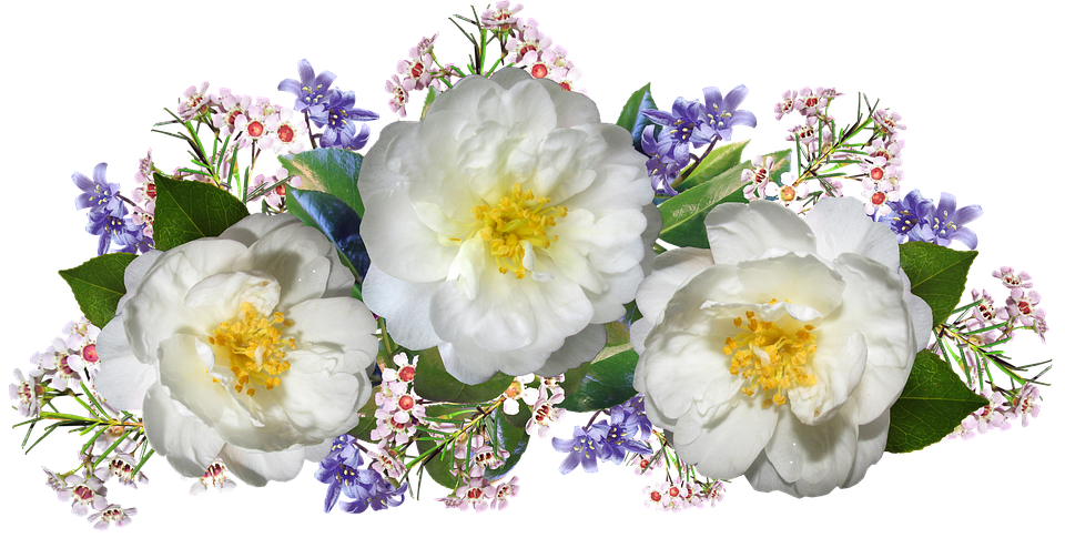 Flower Bluebells Download HD PNG Image