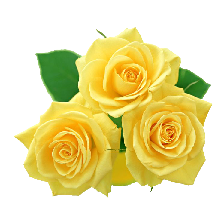 Yellow Flowers Bouquet File PNG Image